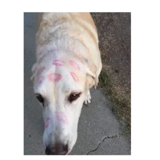 💋