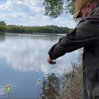 🎣