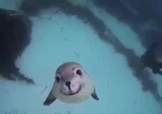🙂