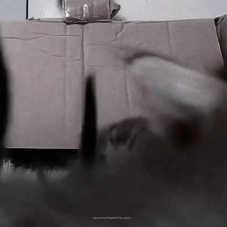 🍙