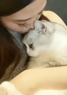 💋