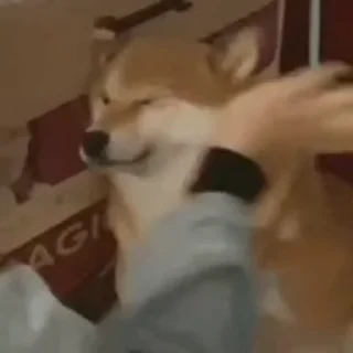 👊