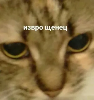 😂