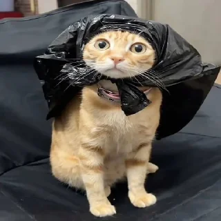 😳