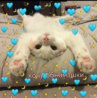 💙