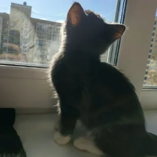 😌