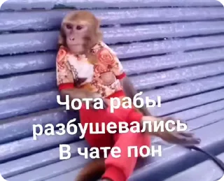 🌟