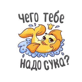 🐟