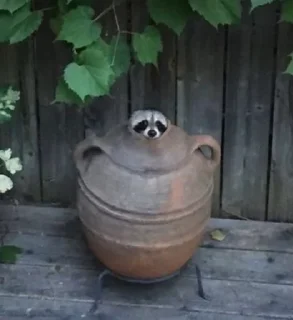 🥺