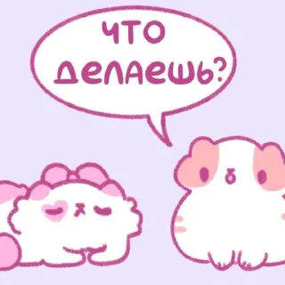 💗