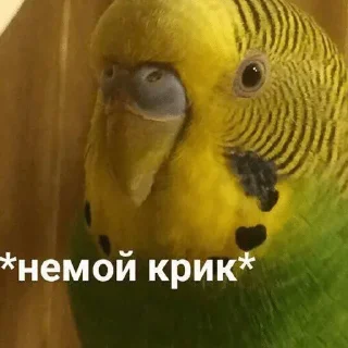 😳