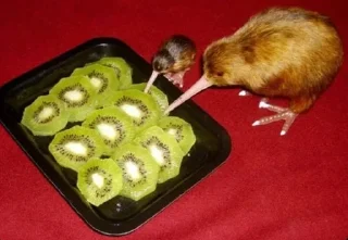 😋