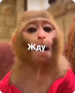 ⏰