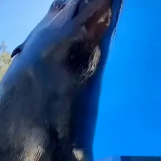 😁