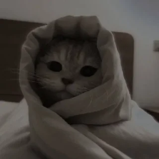 🥱