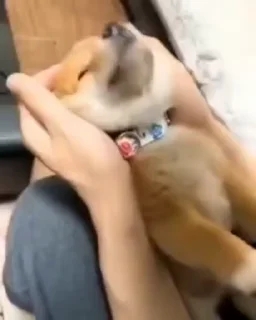 🙂