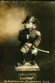 🤴