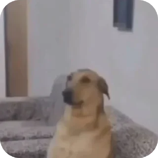 ☺