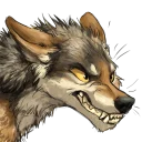 ketcoyotes