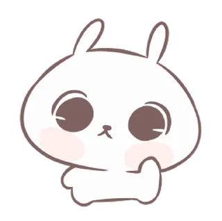 🐼