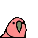 🦜