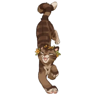 🐱