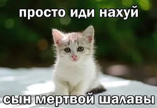 😠