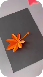 🍁