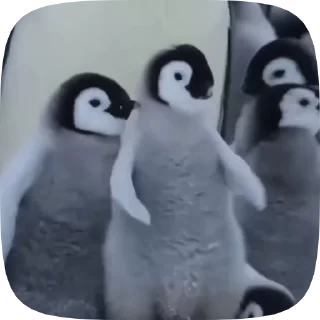 😃