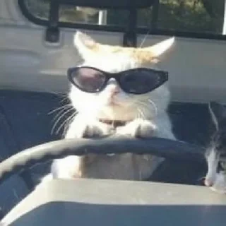 🚘