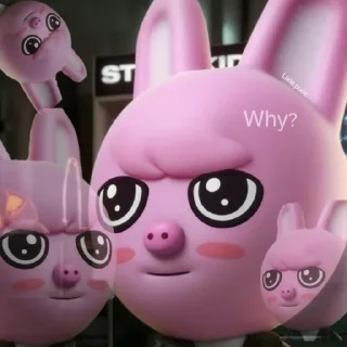 🐷