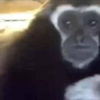 😢