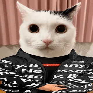 😎