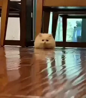👀
