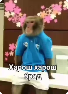 👏
