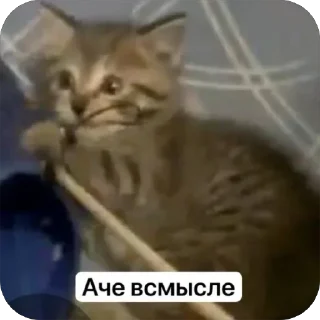 🫥