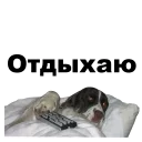 🛏