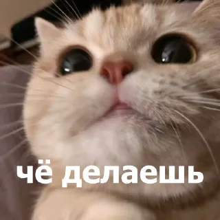 😊