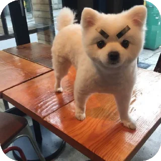 👍