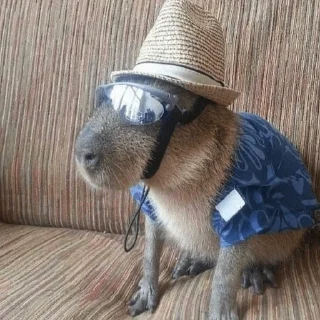 🤠