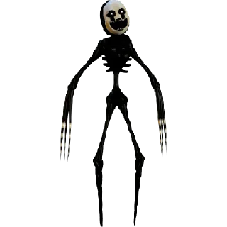 🌟