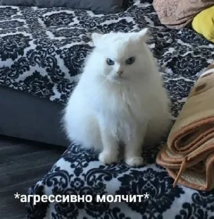 🤬