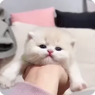 🤗