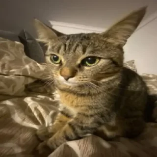🤨