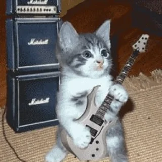 🎶