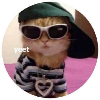 😎