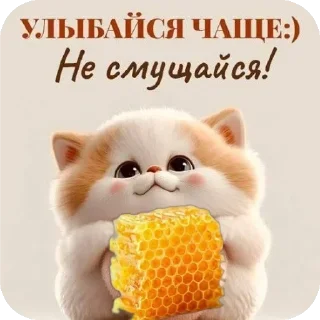 🐱