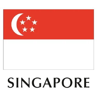 🇸🇬