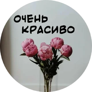 👍