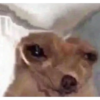 😣